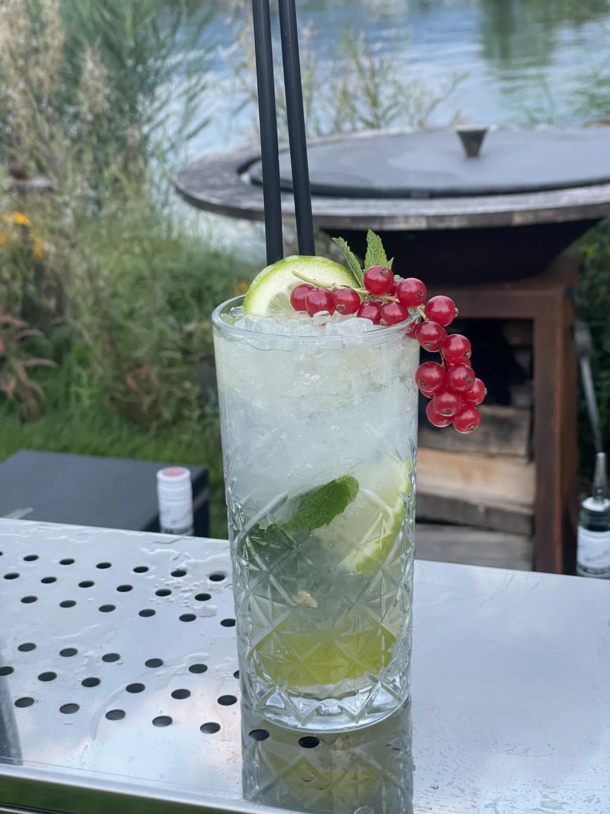 Gin Tonic mit Johannisbeeren und Limette